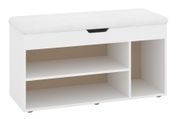 Тумба для взуття Zervex (100 &times; 38 &times; 50 см, білий і білий) ph-tmb-vz-b8-bl-bl фото